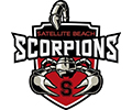 Satellite Scorpions