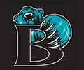 Bayside Bears